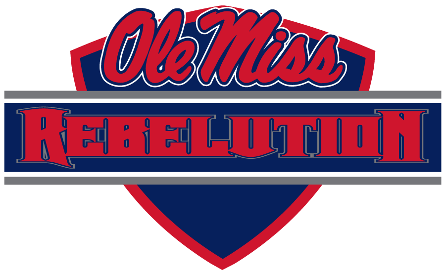 Mississippi Rebels 2010-2011 Wordmark Logo iron on transfers for T-shirts